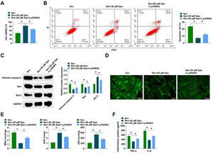 PI3K/AKT/mTOR pathway inhibitor weakens the ameliorative effect of high-dose GpS on cell damage in Sev-anesthetized primary hippocampal neurons. (A) Viability of hippocampal neurons detected by CCK-8; (B) Apoptosis of hippocampal neurons detected by flow cytometry; (C) Expression of Cleaved caspase-3, Bax, and Bcl-2 determined by Western Blot; (D) Measurement of intracellular ROS levels in primary hippocampal neurons; (E) Levels of MDA, SOD, and GSH determined by commercial kits assay; (F) ELISA determination of TNF-α and IL-6 levels in hippocampal neurons. Data are expressed as mean ± SD (n = 3). * p < 0.01.