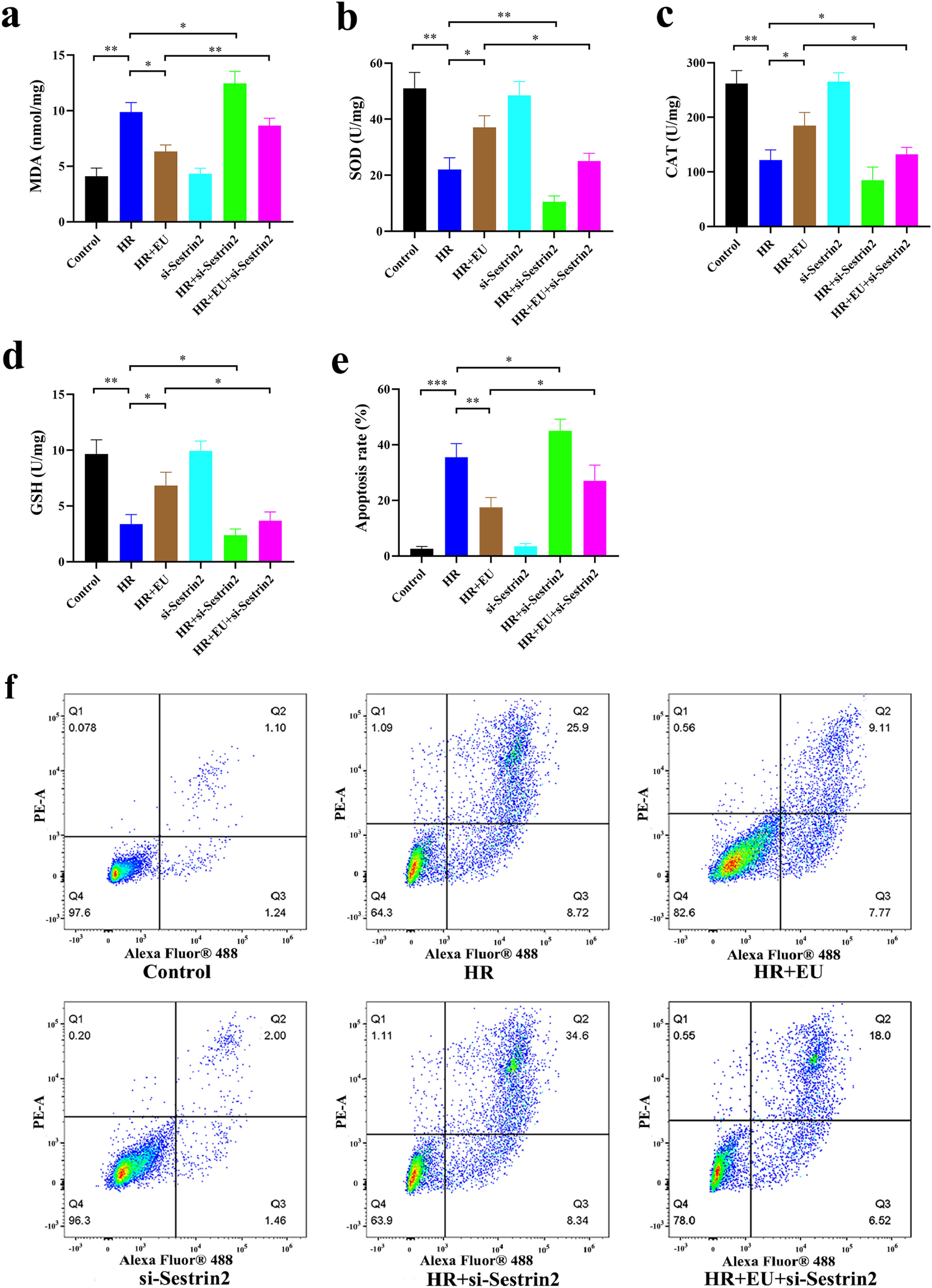 Eugenol alleviates renal ischemia-reperfusion injury induced ...