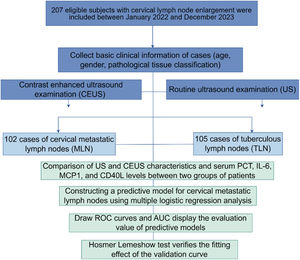 Research flowchart.