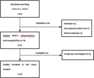 The process for the screening of 10 potentially relevant studies included in the meta-analysis. MCP-1, Chemokine (CC Motif) ligand 2, TB, Tuberculosis.