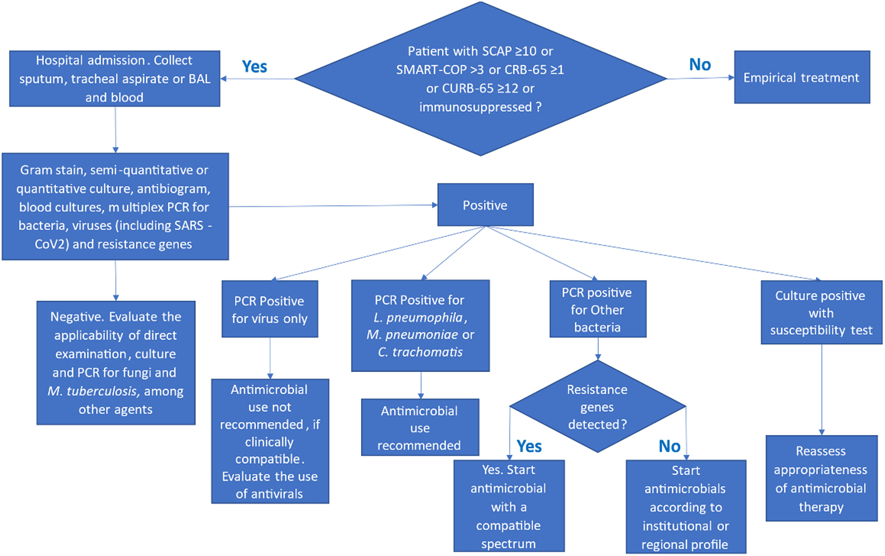 cap hap vap pneumonia Updated IDSA/ATS Guidelines on Management of Adults With HAP and VAP main image 0