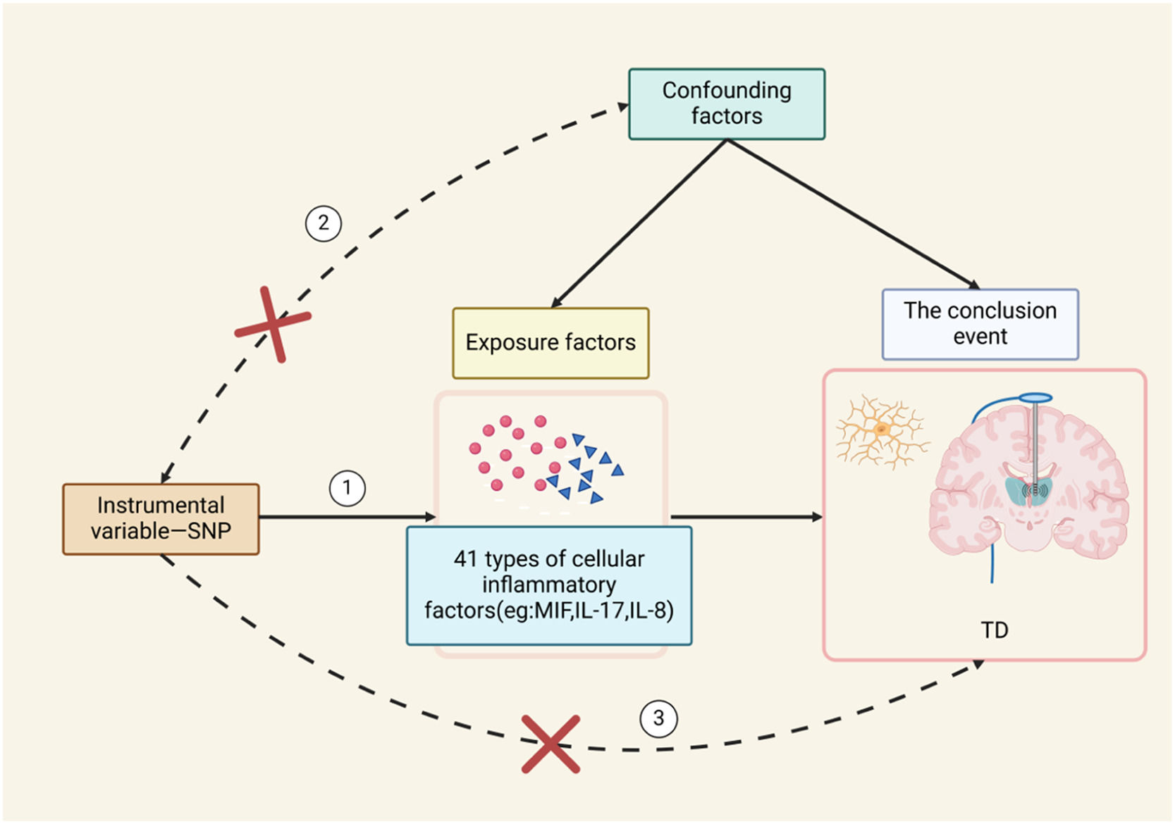 Relationship between Tic disorders and 41 inflammatory factors in ...
