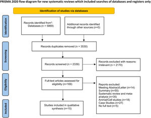 The literature screening process and results.