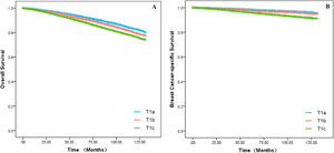 The survival outcomes for OS and BCSS in the T1a, T1b and T1c groups. Kaplan-Meier curves were applied to compare survival between T1a, T1b and T1c groups. (A) The status of OS in the subgroups of T1. (B) The status of BCSS in the subgroups of T1.