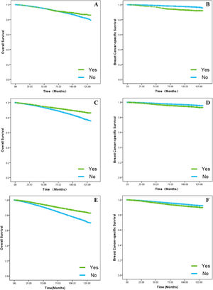 The effect of chemotherapy on survival rates in the T1a, T1b and T1c groups. Kaplan-Meier curves were applied to compare the results of chemotherapy on survival in the T1a, T1b and T1c groups. (A) The impact of chemotherapy on OS in patients in the T1a group. (B) The impact of chemotherapy on BCSS in patients in the T1a group. (C) The impact of chemotherapy on OS in patients in the T1b group. (D) The impact of chemotherapy on BCSS in patients in the T1b group. (E) The impact of chemotherapy on OS in patients in the T1c group. (F) The impact of chemotherapy on BCSS in patients in the T1c group.