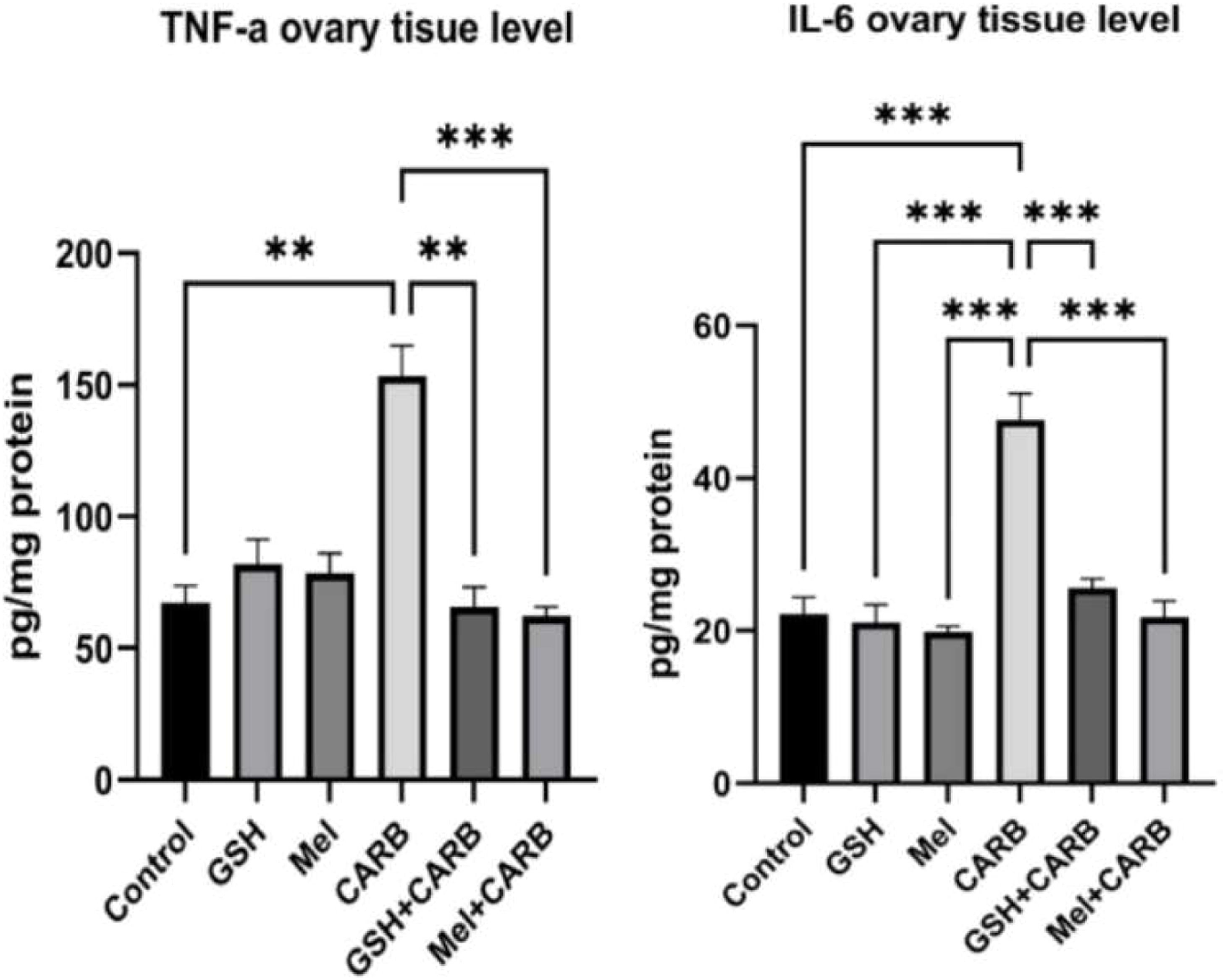 Comparative efficacy of melatonin and glutathione in mitigating carboplatin-induced ovarian toxicity in rats