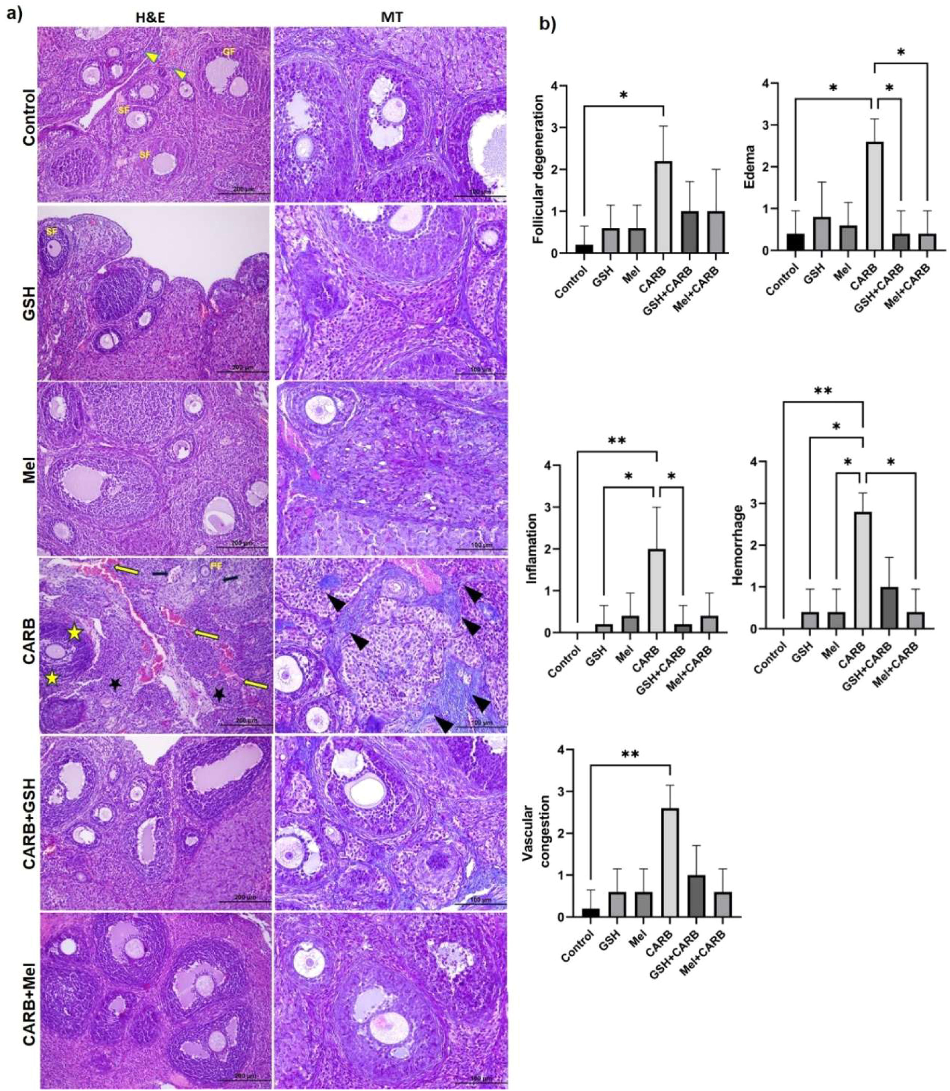 Comparative efficacy of melatonin and glutathione in mitigating carboplatin-induced ovarian toxicity in rats
