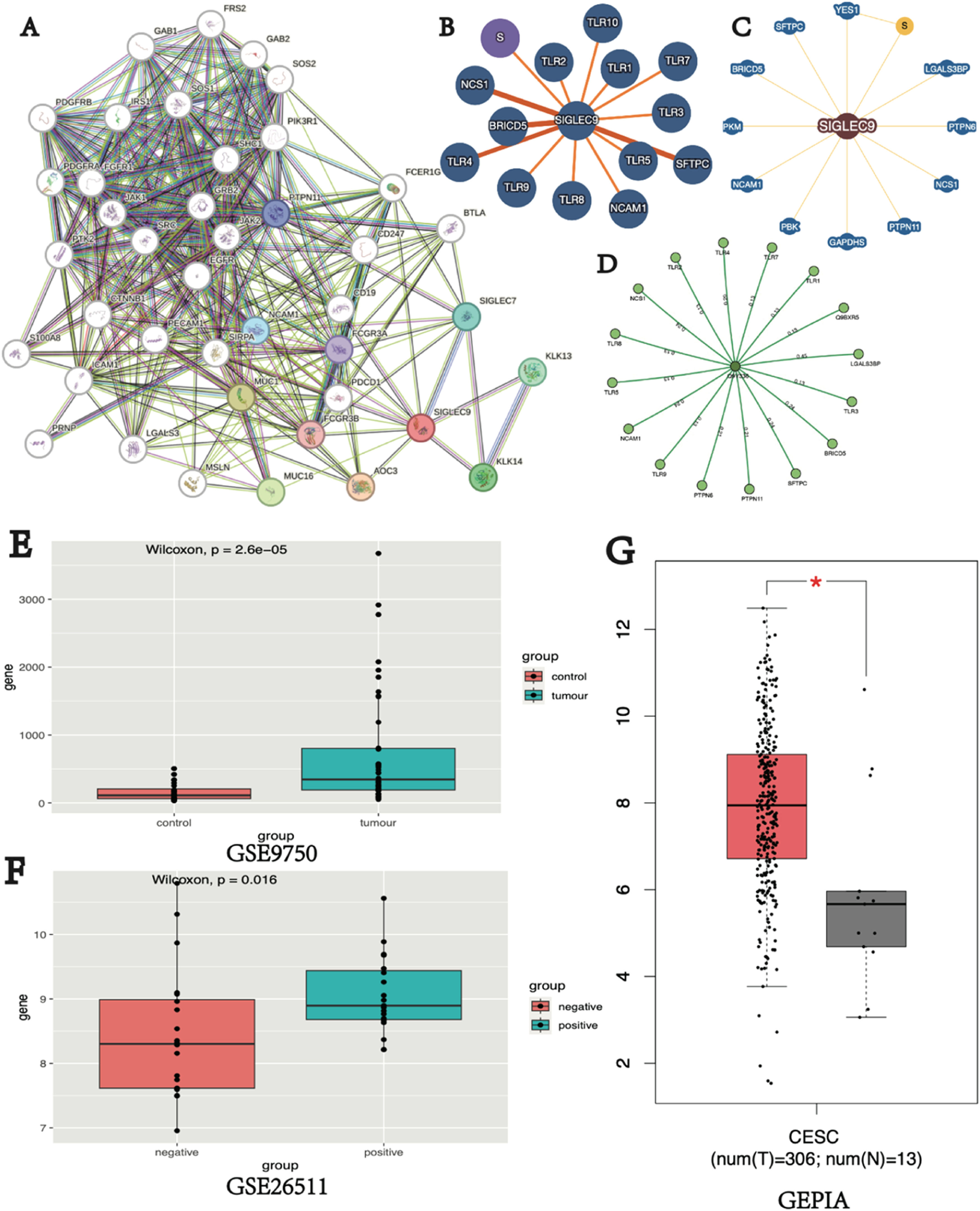 String Vs Intact Databse The role of SIGLEC9 in immunosuppression and prognosis in cervical ...
