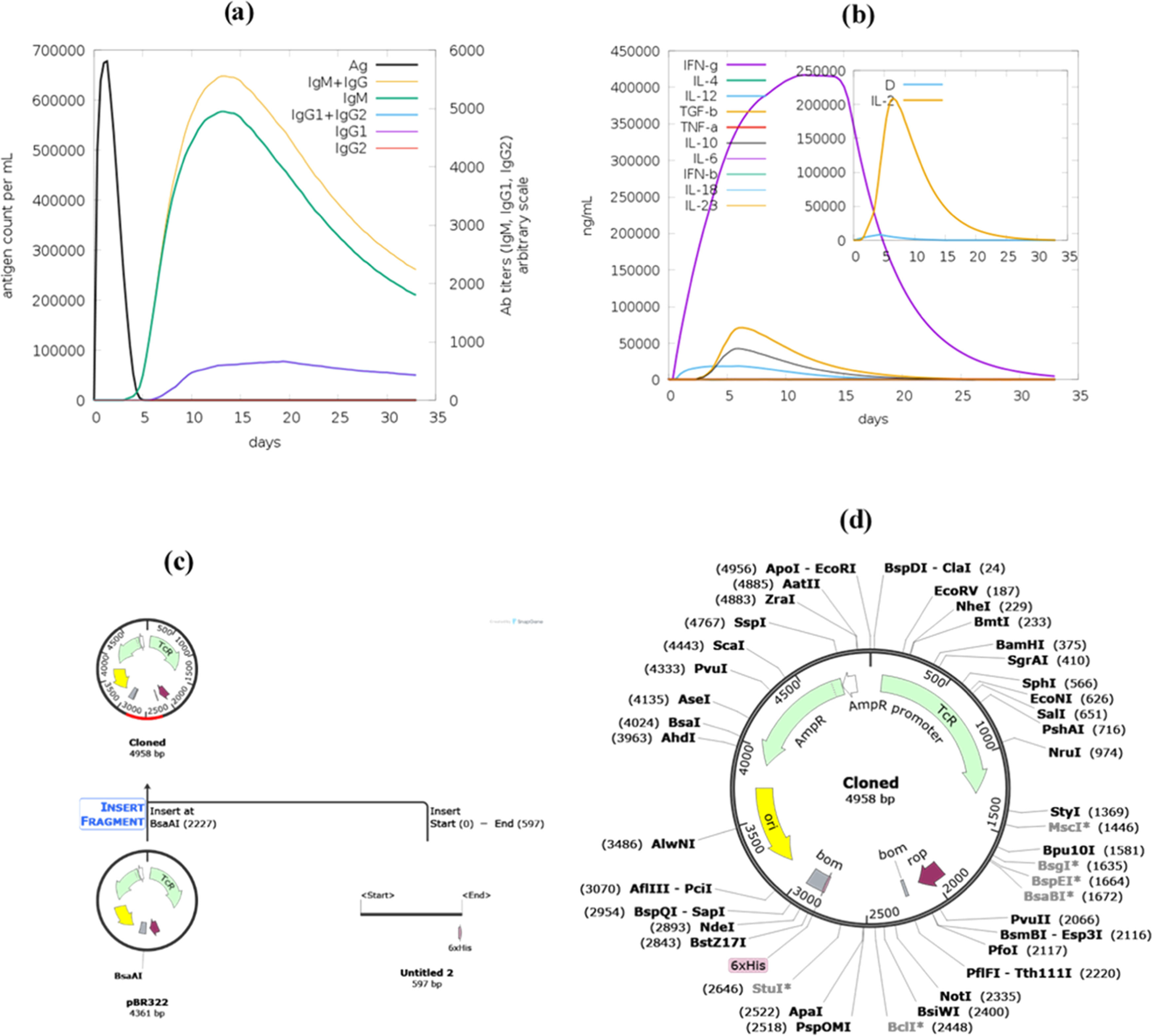 Immunoinformatics-driven design of a multi-epitope vaccine against ...