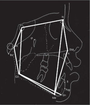 Angles and measures traced in this study.