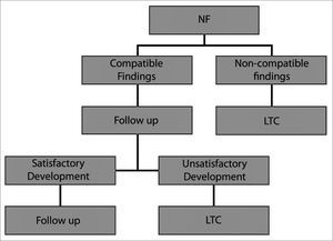 Assessment of the airways of children NF = nasofibropharyngoscopy; LTQ = laryngotracheoscopy.
