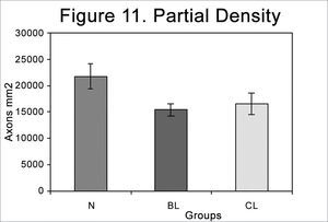 Partial myelinated axon density in the different groups (N = normal; BL = injured at 4 weeks; CL = injured at 6 weeks).