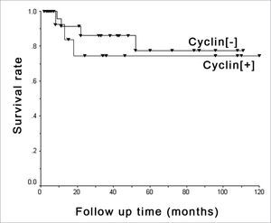 D1 cyclin and survival - Kaplan-Meier's chart showing death occurrence stratified by positive ([+]) and negative ([-]) cyclin groups.