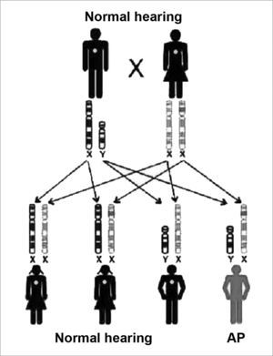 Inheritance mode - this key represents an X-linked recessive mutation; the daughters that inherit the altered copy from the mother will not be affected, because they receive one normal copy from the father, and the sons have a 50% chance of inheriting the altered X chromosome from the mother. (Modified from Rehm, 2003)