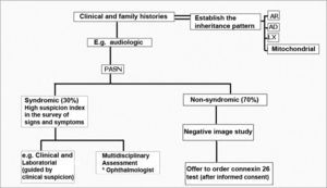 Genetic SNHL screening - The otorhinolaryngologist must have a high degree of suspicion in order to determine the syndromic forms (evidences of syncope or sudden death in other family members, in the syndromes of Jervell and Lange-Nielsen; enlargement of the vestibular aqueduct and positive perchlorate discharge test in the Pendred’s syndrome); the tests ordered must be guided by clinical suspicion; in more than 50% of the children with SNHL severe to profound, there are ophthalmologic alterations. When the SNHL happens alone and the image exams are negative, the Connexin 26 test should be proposed, respecting the patient’s autonomy and privacy. AR: recessive autosomal; AD: dominant autosomal; LX: X-linked; Mitochondrial: mitochondrial inheritance.