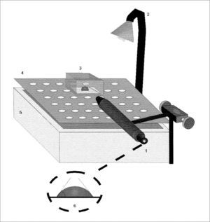 Schematic representation of the contact angle measurement. 1) Magnifying glass coupled to the goniometer, 2) Light source, 3) Acrylic chamber, 4) Cleft platform, 5) Water reservoir, 6) Contact angle measurement representation. Source: Nakagawa et al., 2000.
