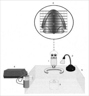 Schematic representation of the frog palate setup: 1) Magnifying glass, 2) Light source, 3) Frog palate support, 4) Ultrasonic nebulizer, 5) Acrylic chamber, 6) Frog palate vision under mashed lens. Source: Nakagawa et al., 2000.