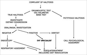 Flowchart suggested for halitosis assessment.