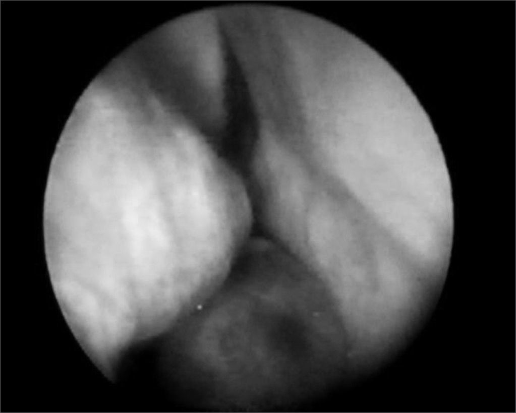 fig5