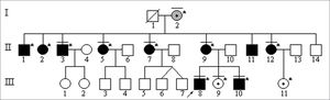 Family 14682 genealogical diagram (A). The arrow indicated purpose. Individuals marked in black have variable grades of hearing loss. Individuals marked with a dash above their symbols went through speech and hearing evaluation. Subjects marked with an asterisk were tested and have mitochondrial DNA mutation A1555G. (B) Polyacrylamide gel after impregnation with silver nitrate showing band pattern after PCR product digestion with restriction enzyme Hae III: normal control samples have 2 bands - 216pb and 123pb; family members carrying mutation A1555G have 3 bands - 216pb, 93pb, and 30pb.