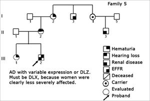 Family 5 Inheritance pattern - Probably DLX. The severity contrast between men and women matches this inheritance pattern.