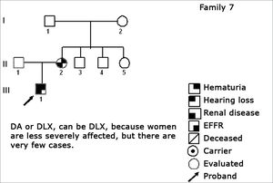 Family 7 Inheritance pattern - Probably DLX. Women are less affected; however there are fewer cases.
