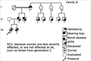 Family 8 Inheritance pattern - DLX, because women are less affected. All the daughters are less severely affect. All the daughters (III-1 and III-2) of the affected men (II-2) are affected, DLX characteristic.