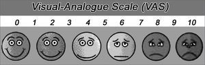 Model of the visual-analogue scale (VAS) used.