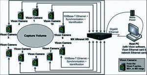 Scheme of how the Vicon capture system works.