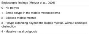Meltzer scores used to classify nasal endoscopic findings.