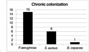 Representation of chronic lung colonization.