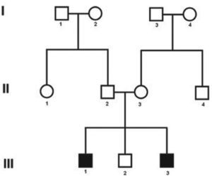 Pedigree showing the two cases with Alström Syndrome (case 1: III-1 and case 2: III-3).
