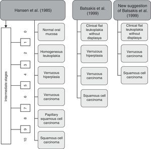 Histologic stages of progression to carcinoma. Adapted from Ghazali et al. (2003).9
