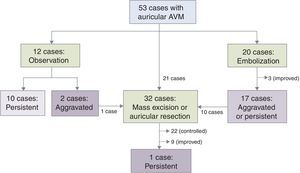 Flow chart of the treatment of 53 patients with auricular arteriovenous malformations.