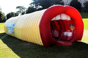 External view of the inflatable giant larynx.