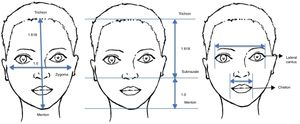 Measurements and ratios. Anatomical points, measurements and proportions which are used for facial analysis.