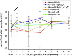 The nerve conduction velosity in the experimental groups. * Significantly different compared to Group 1 (p<0.05). # Significantly different compared to the preoperative week (p<0.05).