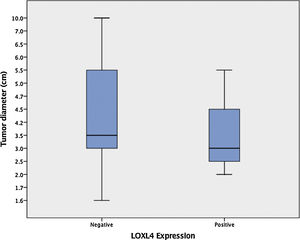 Boxplot comparison of tumour diameter with respect to LOXL4 expression. The difference between medians was not statistically significant (p =  0.456, Mann–Whitney U test).