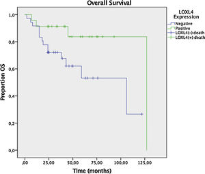 Kaplan–Meier plot for Overall Survival (OS) in LOXL4 positive and negative patients. The difference between LOXL4 positive and negative patients was statistically significant (p =  0.036, Mantell-Cox log rank test).
