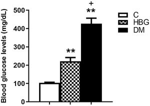 Blood glucose levels in non-diabetic and diabetic rats. Bars represent the group means ± SEM. (C. Control; HBG. High Blood Glucose; DM. Diabetes Mellitus) **p < 0.01 vs. control group. +p < 0.05 vs. HBG group.