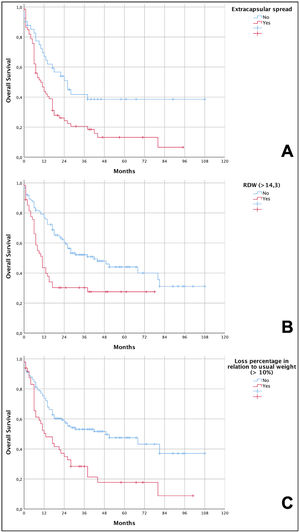 Kaplan-Meier curves showing the overall survival of patients with advanced squamous cell carcinoma (pT4a) of the oral cavity in relation to the independent risk variables. (A) Lower overall survival in patients with extracapsular spread (6.6% vs. 38.5%; p = 0.004 – log-rank test); (B) lower overall survival in patients with RDW < 14.3% (27.5% vs. 31.1%; p < 0.001 – log-rank test); (C) lower overall survival in patients with weight loss greater than 10% in relation to their usual weight (8.9% vs. 37%; p < 0.001 – log-rank test).