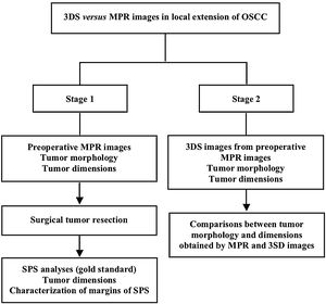 Flowchart of the study. In stage 1, Multiplanar Reconstruction (MPR) of computed tomography images were used to analyze morphology and dimensions of the Oral Squamous Cell Carcinoma (OSCC), and for planning of surgical tumor resection. After that, Surgical Pathology Specimens (SPS) were analyzed to obtain tumor dimensions and to characterize the margins as positives or negatives. In stage 2, Three-Dimensional Segmentation (3DS) images of preoperative MPR images were used to obtain tumor morphology and dimensions. Comparisons between tumor morphology and dimensions obtained by MPR and 3SD images were the last procedure of the study.