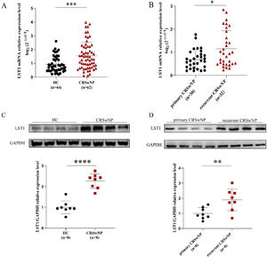 The tissue mRNA expression of LST1 in CRSwNP patients. (A) Compared to the HC group, the tissue LST1 mRNA levels were clearly increased in the CRSwNP group. (B) The tissue LST1 mRNA levels in the recurrent CRSwNP group were significantly higher than in the primary CRSwNP group. (C) WB images of LST1 between the HC group and CRSwNP and its levels were significantly increased in the CRSwNP group than in the HC group. (D) WB images of LST1 between the primary CRSwNP group and recurrent CRSwNP and its levels were significantly increased in the recurrent CRSwNP group than in the primary group. *p<0.05; **p<0.01; ***p<0.001; ****p<0.0001. LST1, Leukocyte-Specific Transcript 1; HC, Health Control; CRSwNP, Chronic Rhinosinusitis with Nasal Polyp; WB, Western Blotting.