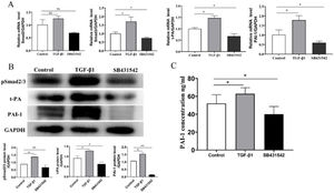 Mature nasal polyps tissue culture treated with TGF-β1 activator elevated the (A) mRNA expression and (B) protein levels of t-PA, PAI-1, pSmad2/3, and (C)increased the release of PAI-1 in the supernatant. Consistently, the opposite trend was observed after SB431542 treatment in vitro tissue culture. (300×300 DPI).