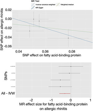 Effect of adipocyte fatty acid-binding protein on allergic rhinitis in the study. SNP, Single Nucleotide Polymorphisms; MR, Mendelian randomization; IVW, Inverse-Variance Weighted.
