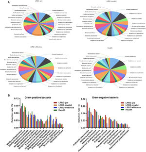 Composition of microbiome by bacterial culture method. (A) Pie charts of microbiome microbiome composition. (B) The distribution of Gram-positive and negative bacteria.