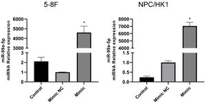 The transfection efficacy of miR-99a-5p in NPC cells was identified by the RT-PCR assay (*p < 0.05 vs. mimic NC).