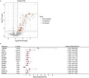 Identification of the prognostic genes of patients with laryngeal cancer. (A) Volcano map was used to show differentially expressed genes between C1 and C2 subtypes. (B) Forest plot was used to show prognosis-related genes screened by univariate Cox regression analysis.