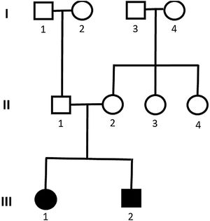 Pedigree showing cases 3 and 4 with Alström syndrome (case 3: III-1 and case 4: III-2).