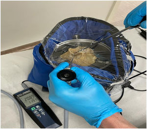 Endoscope and thermometer inserted into the temporal bone through the perforations made in the PVC plastic film.